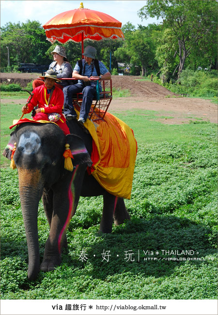 【泰國旅遊】大城騎大象之旅～漫遊在古城之中的小旅行