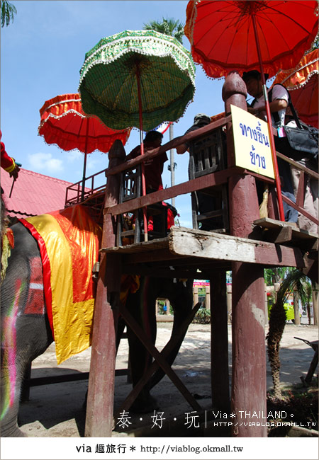 【泰國旅遊】大城騎大象之旅～漫遊在古城之中的小旅行