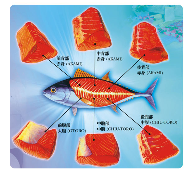 【活動】2010高雄食品展～超低溫鮪魚主題區大啖鮪魚美食！