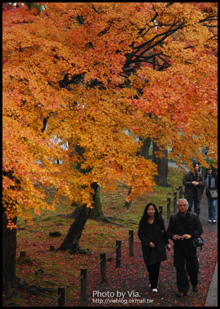 【Via京都賞楓】Day4●此行最美的楓紅在南禪寺及永觀堂