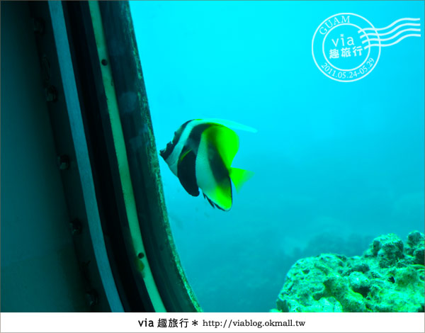 關島景點》最美的海中展望台～FISH EYE魚之眼展望台