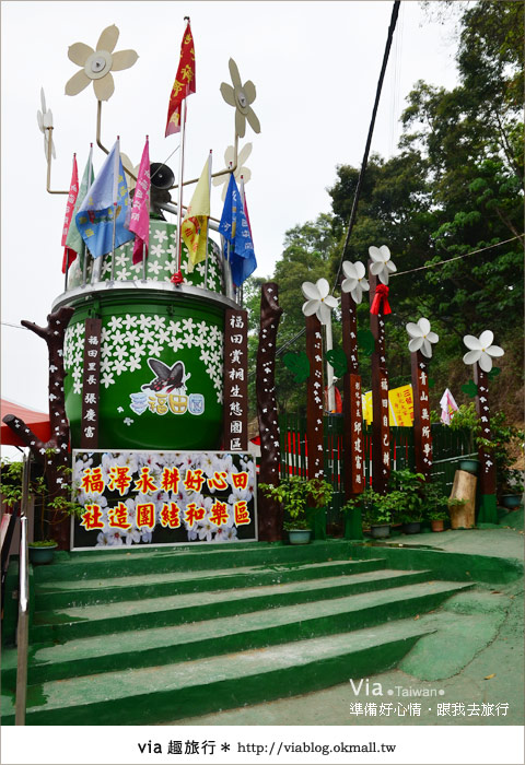 【客家桐花祭】彰化福田賞桐生態園區～跟著via賞桐趣！4