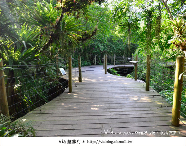 新竹景點》新竹哪裡好玩～綠世界生態農場賞鳥趣！