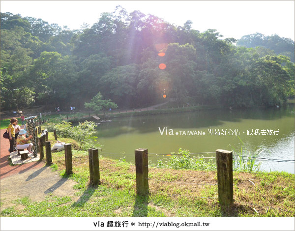 新竹景點》新竹哪裡好玩～綠世界生態農場賞鳥趣！