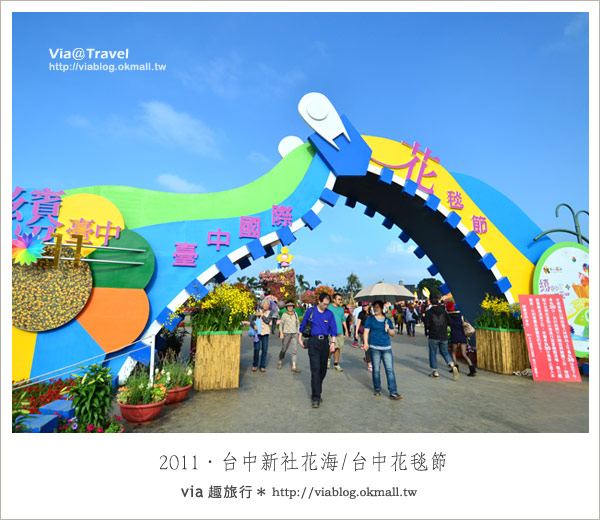新社花海節》台中國際花毯節～一年一度的新社花海又來囉！
