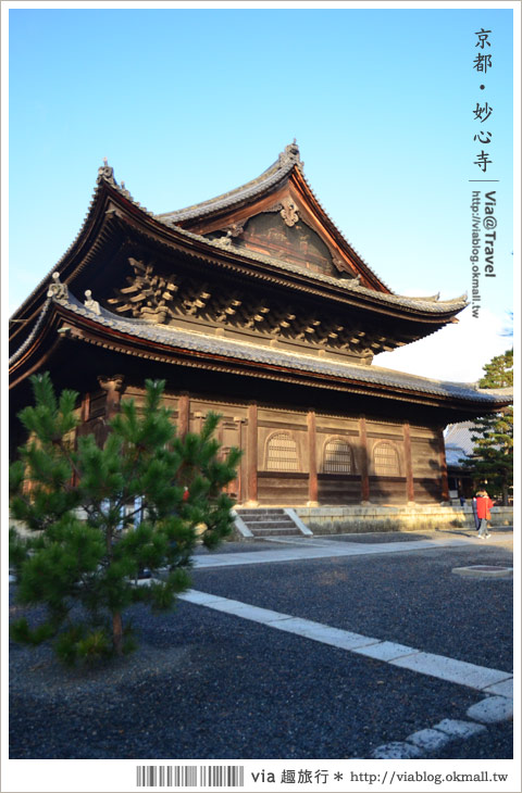 京都寺廟》京都妙心寺～列為重要文化財的日式寺院！