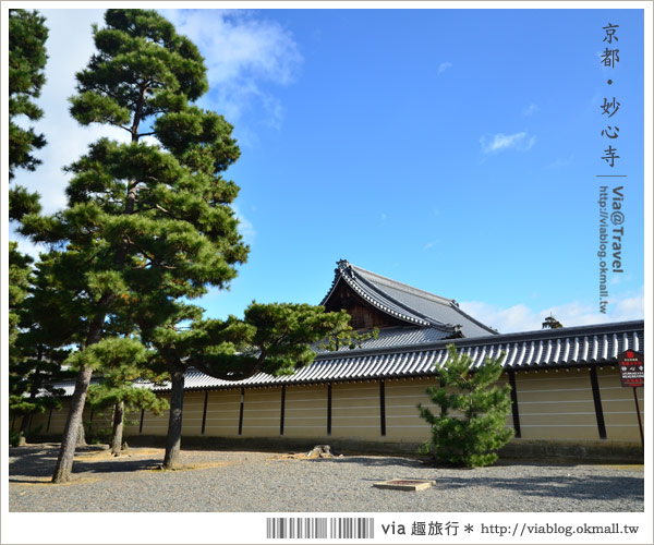 【京都寺廟】京都妙心寺～列為重要文化財的日式寺院！