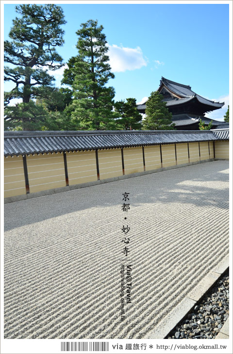 京都寺廟》京都妙心寺～列為重要文化財的日式寺院！