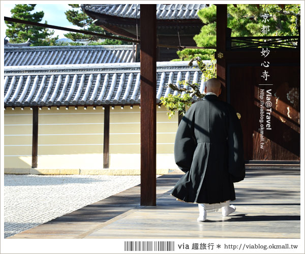 【京都寺廟】京都妙心寺～列為重要文化財的日式寺院！