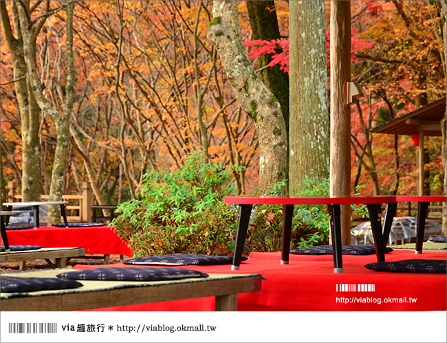 紅葉最前線》京都｜高雄神護寺～via＊2012京都紅葉紀旅的華麗首站！