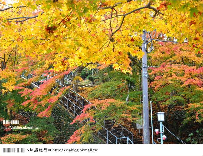 紅葉最前線》京都｜高雄神護寺～via＊2012京都紅葉紀旅的華麗首站！