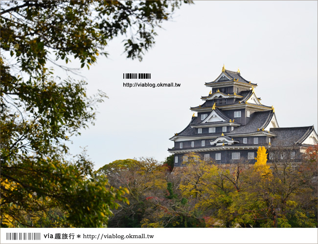 【岡山自由行】柯南之旅～岡山城＋後樂園，日本三大名園美景如畫