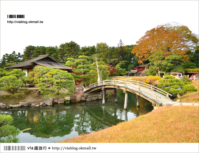 【岡山自由行】柯南之旅～岡山城＋後樂園，日本三大名園美景如畫