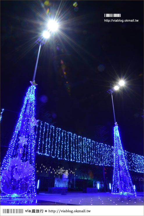 台中耶誕節活動》來台中市政府～渡過夢幻的藍色耶誕節