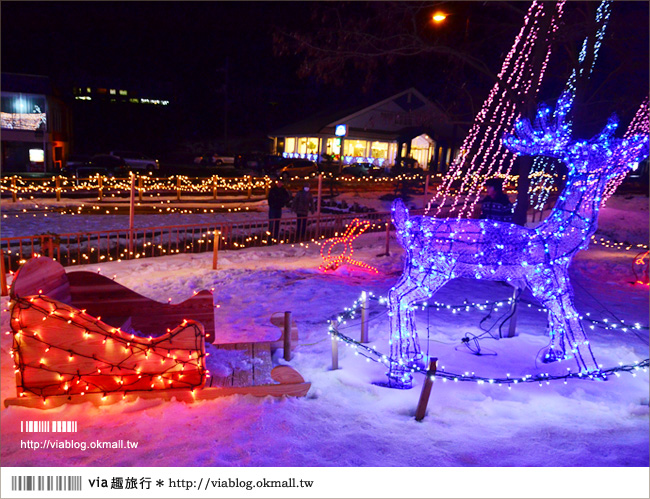 【鳥取旅遊】鳥取沙丘光之序章《夜間燈祭》～感受冬季限定的浪漫光景！