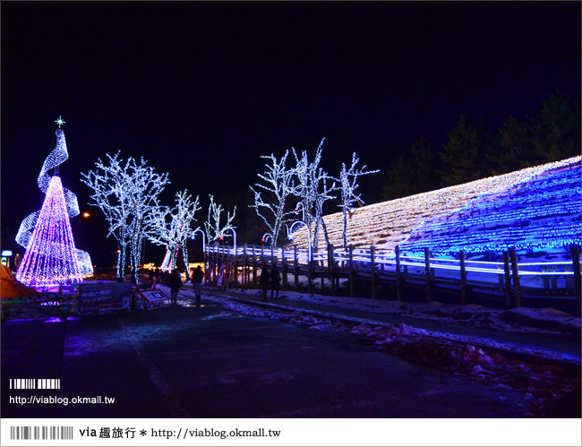 鳥取旅遊》鳥取沙丘光之序章《夜間燈祭》～感受冬季限定的浪漫光景！