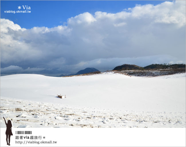 鳥取旅行》鳥取砂丘～變身雪丘也好美！鳥取必玩的旅遊景點～