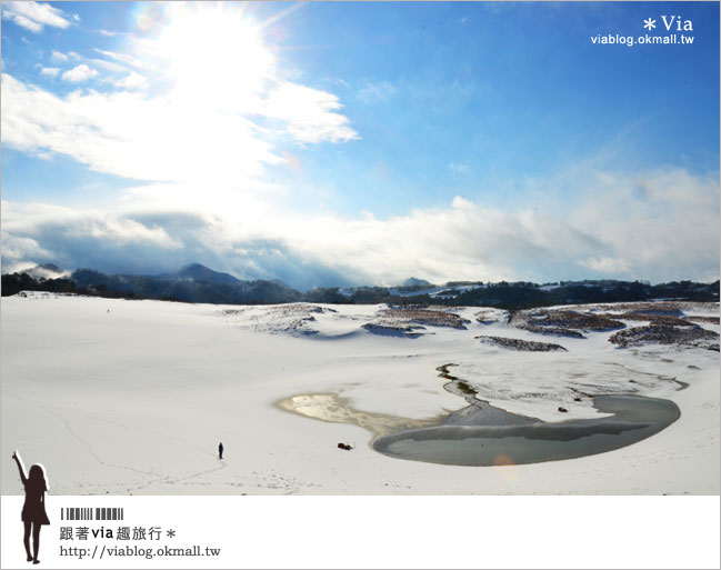 【鳥取旅行】鳥取砂丘～變身雪丘也好美！鳥取必玩的旅遊景點～