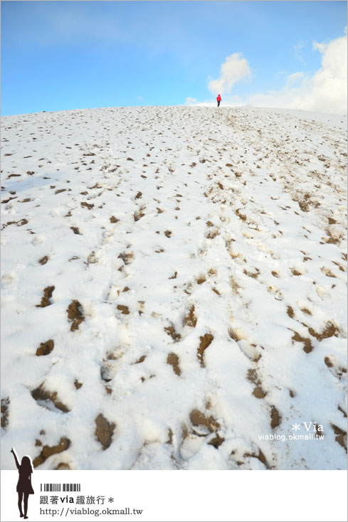 【鳥取旅行】鳥取砂丘～變身雪丘也好美！鳥取必玩的旅遊景點～