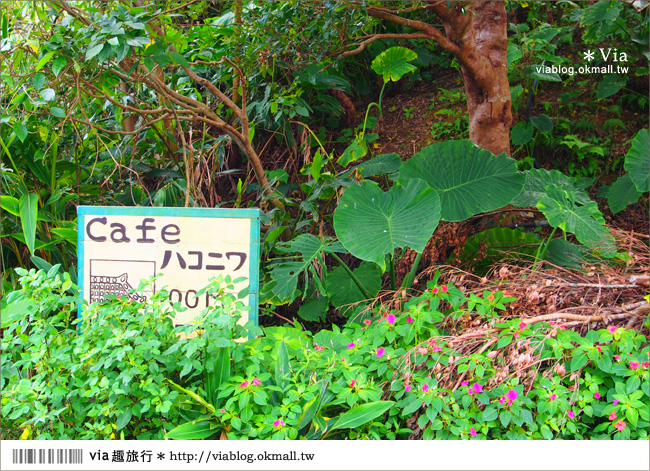 沖繩咖啡館》我的沖繩小味旅行～本部町山中古民家ハコニワcoffee