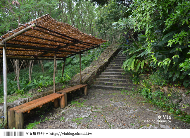 【沖繩餐廳】沖繩「山的茶屋‧樂水」～一個有山有海的療癒系木屋茶坊！
