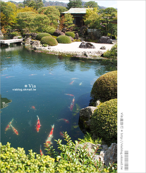 島根景點》足立美術館～必看！日本第一美極的庭園之景！