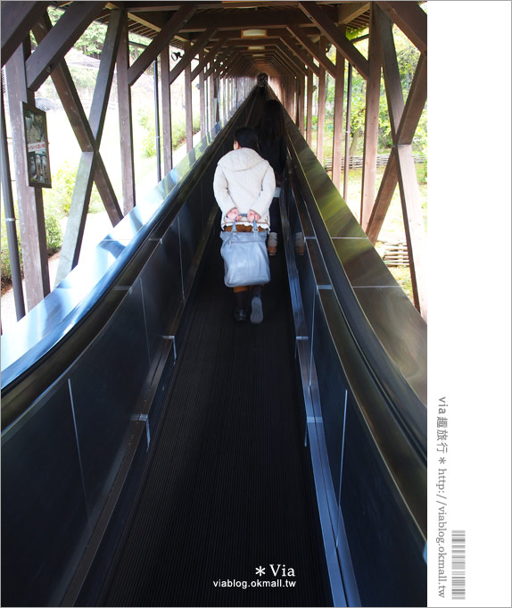 【島根必玩景點】必去！松江貓頭鷹樂園～via最愛的島根玩樂景點！