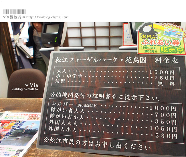 【島根必玩景點】必去！松江貓頭鷹樂園～via最愛的島根玩樂景點！