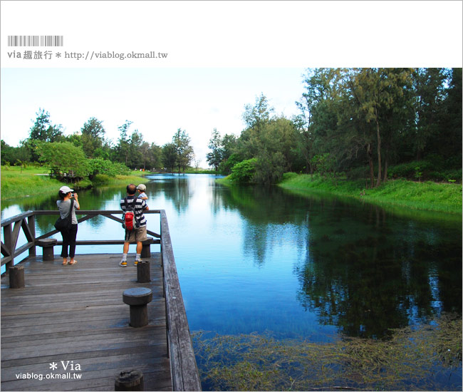 【台東旅遊景點】台東森林公園～悠閒騎單車、走入大自然的好去處！