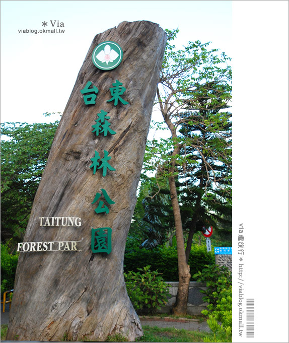 台東旅遊景點》台東森林公園～悠閒騎單車、走入大自然的好去處！