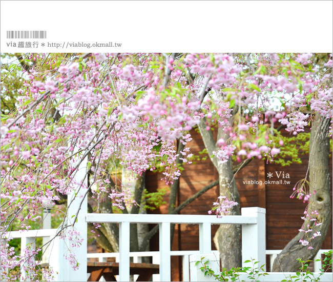 【小樽溫泉飯店】小樽朝里川溫泉「宏樂園」～美麗的花園及個人露天溫泉！