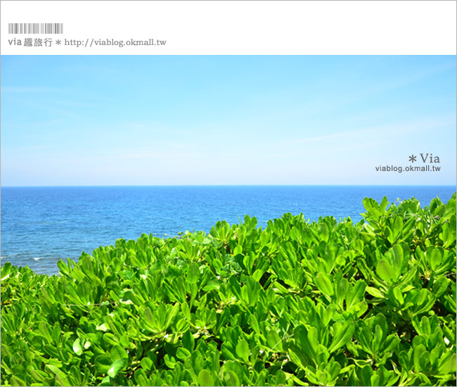 【台東景點推薦】伽路蘭遊憩區～看見台東東河鄉最美的海岸線！