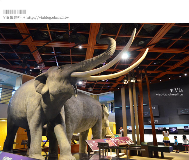 【台東景點】台東史前博物館～探訪台灣史前文化，精彩一整天！