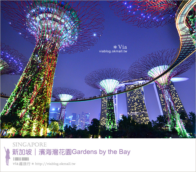 新加坡旅遊景點》濱海灣花園Gardens by the Bay～無敵美的超級樹！大推必去！