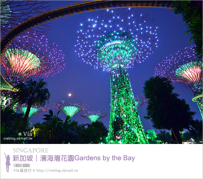 新加坡旅遊景點》濱海灣花園Gardens by the Bay～無敵美的超級樹！大推必去！