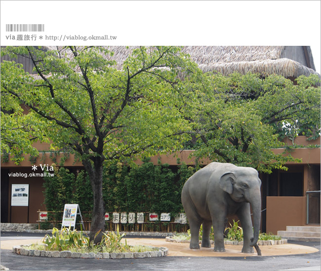 名古屋旅遊》東山動植物園～超大園區！動物園、植物園一次看個夠！