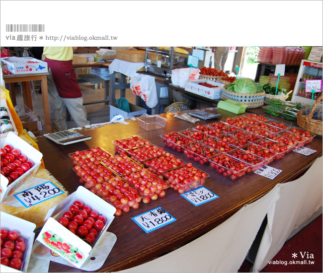 小樽景點》夏旅北海道～「山本觀光果園」大啖鮮美水果的好去處！