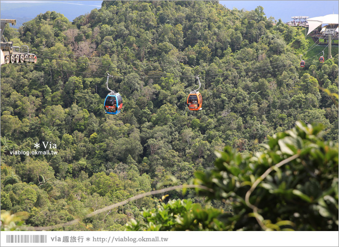 蘭卡威自由行》蘭卡威一日遊～高空纜車、天空步道、麒麟河紅樹林生態之旅