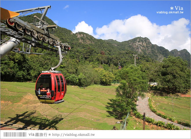 蘭卡威自由行》蘭卡威一日遊～高空纜車、天空步道、麒麟河紅樹林生態之旅