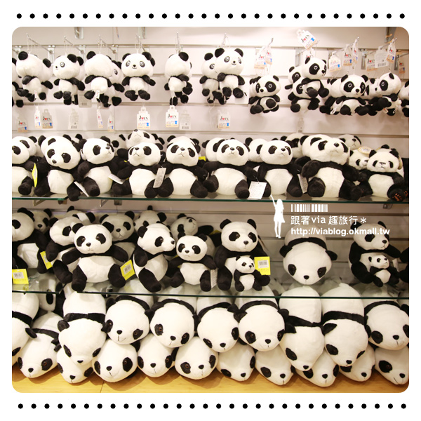 【台北動物園】熊貓圓仔影片～圓仔終於見客啦！來去動物園看爆可愛的圓仔