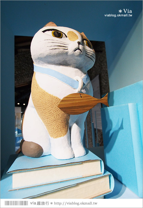 【台南安平景點】虱目魚主題館～超可愛的貓咪與魚兒，拍照的好去處！