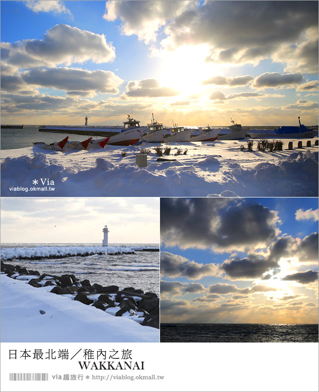 【稚內景點】日本最北端之旅（下）●防波堤、賞海豹、野寒布岬夕陽、俄羅斯歌舞表演