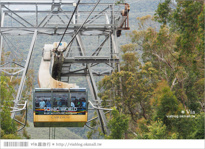澳洲旅遊景點》藍山一日遊～三姐妹峰、回聲角及世界最陡的纜車之旅