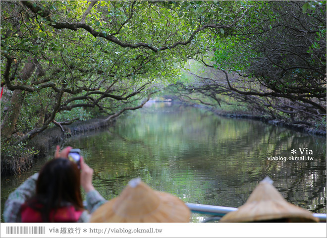 台版亞馬遜河》台南四草紅樹林綠色隧道～絕美！搭乘竹筏出遊賞景趣
