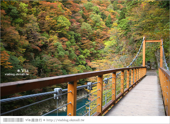 東北賞楓景點》秋田抱返溪谷～山林間美好的溪谷景觀！秋天滿是紅葉時最美