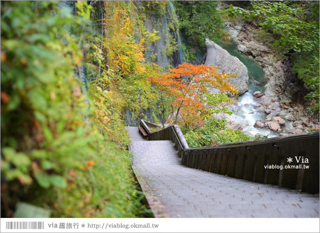 秋田紅葉景點》小安峽溫泉～有著大噴湯峽谷美景的紅葉溫泉鄉！