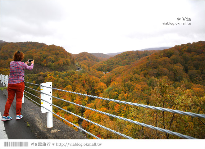 東北賞楓》秋田國道398號～不思議的紅葉公路！沿途紅葉美景相伴，處處都是美炸的景色
