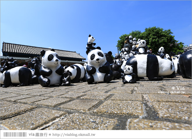 南投紙熊貓展2014》南投紙貓熊巡迴展(已撤展)～集集車站被萌翻的熊貓大軍佔領囉！