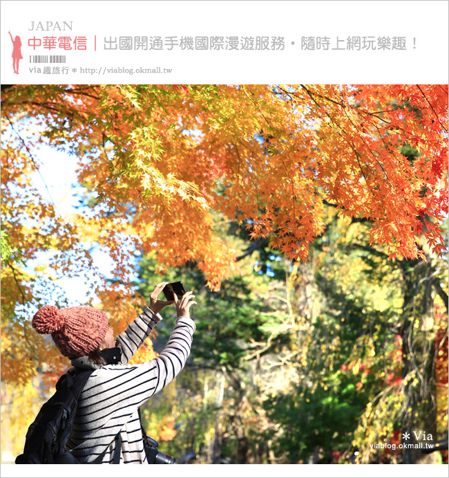 中華電信日本手機漫遊上網》出國開通手機國際漫遊服務‧隨時上網玩樂趣！