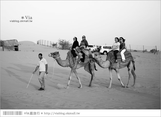 杜拜旅遊》杜拜旅遊行程～來去飆沙去！沙漠飆沙、騎駱駝、看夕陽、享用帳蓬晚餐！